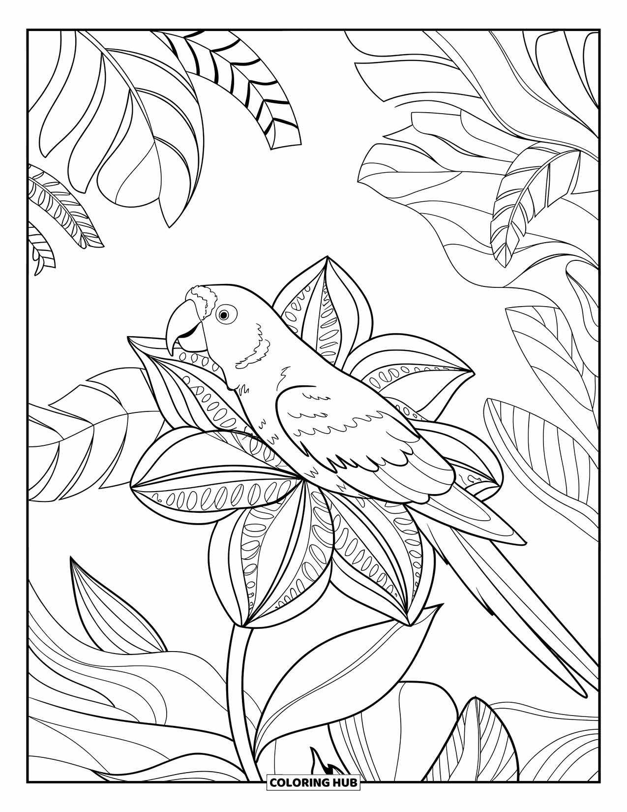 Disegno di un pappagallo da colorare per adulti: Un pappagallo si appollaia su un fiore tropicale decorato, circondato da foglie della giungla