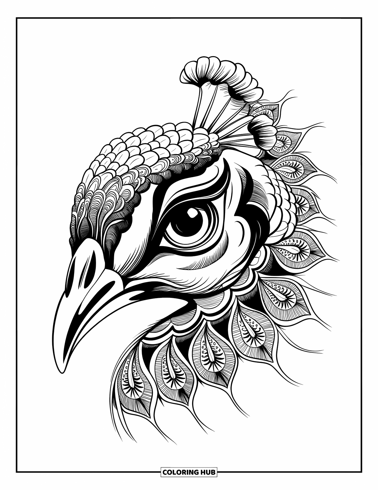 Peacock Coloring Page for Adults: A close-up of a peacock's eye reveals intricate mandala patterns