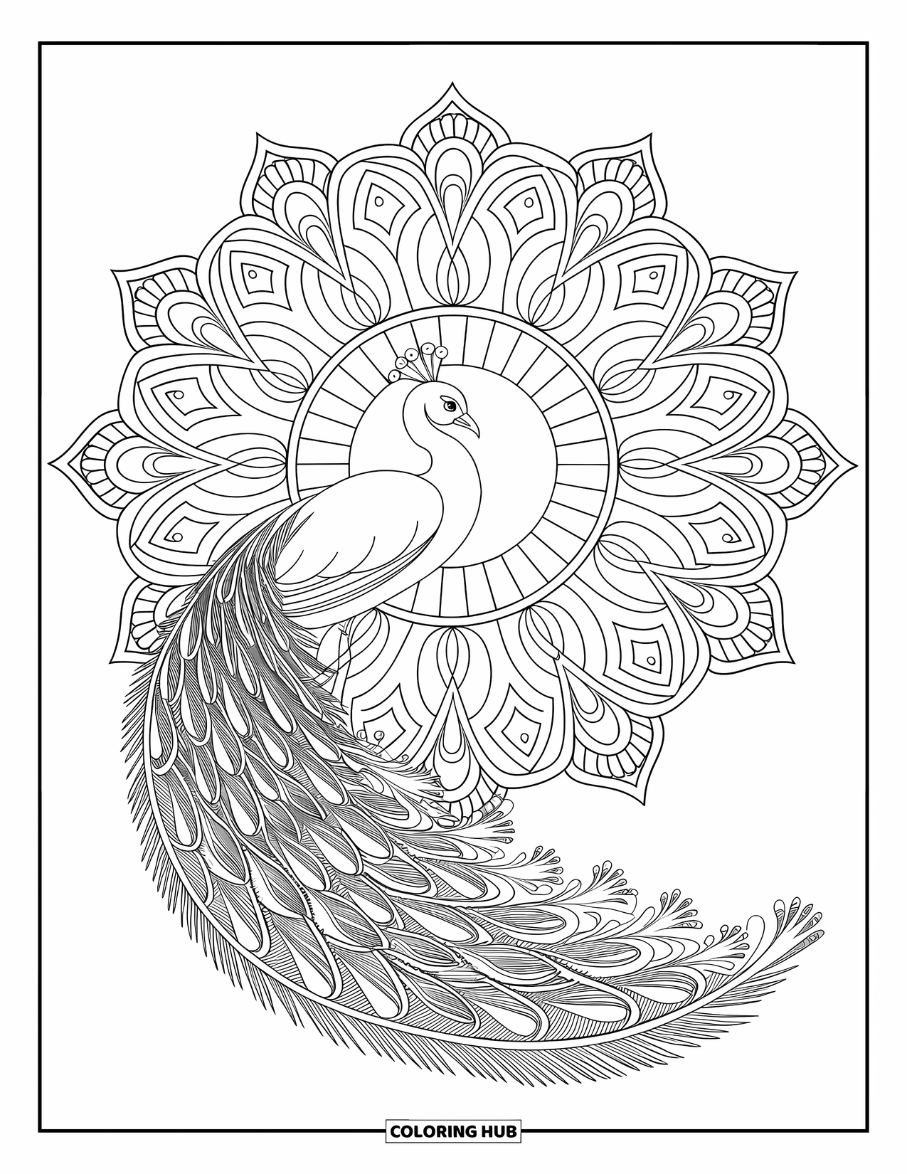 Peacock Coloring Page for Adults: A peacock stands at the center of a mandala with floral patterns