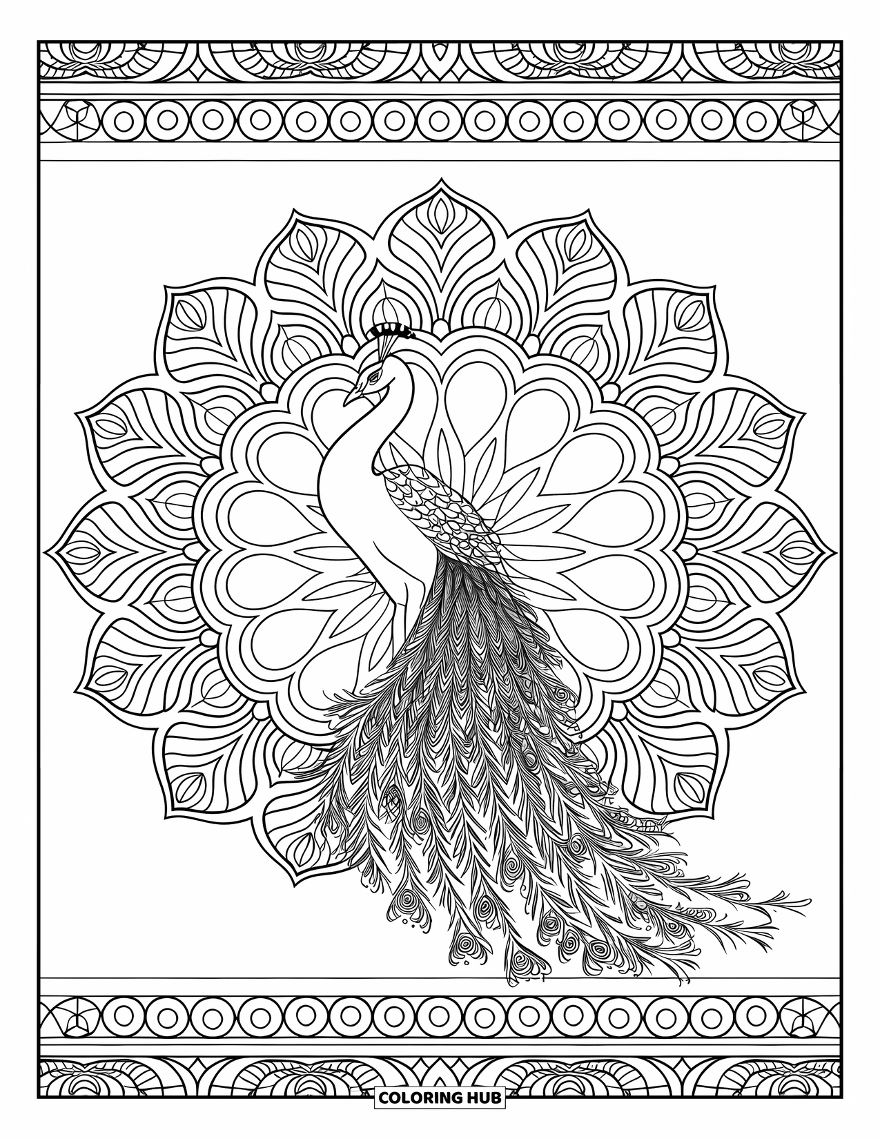 Peacock Coloring Page for Adults: A peacock stands gracefully in a mandala with floral and geometric designs