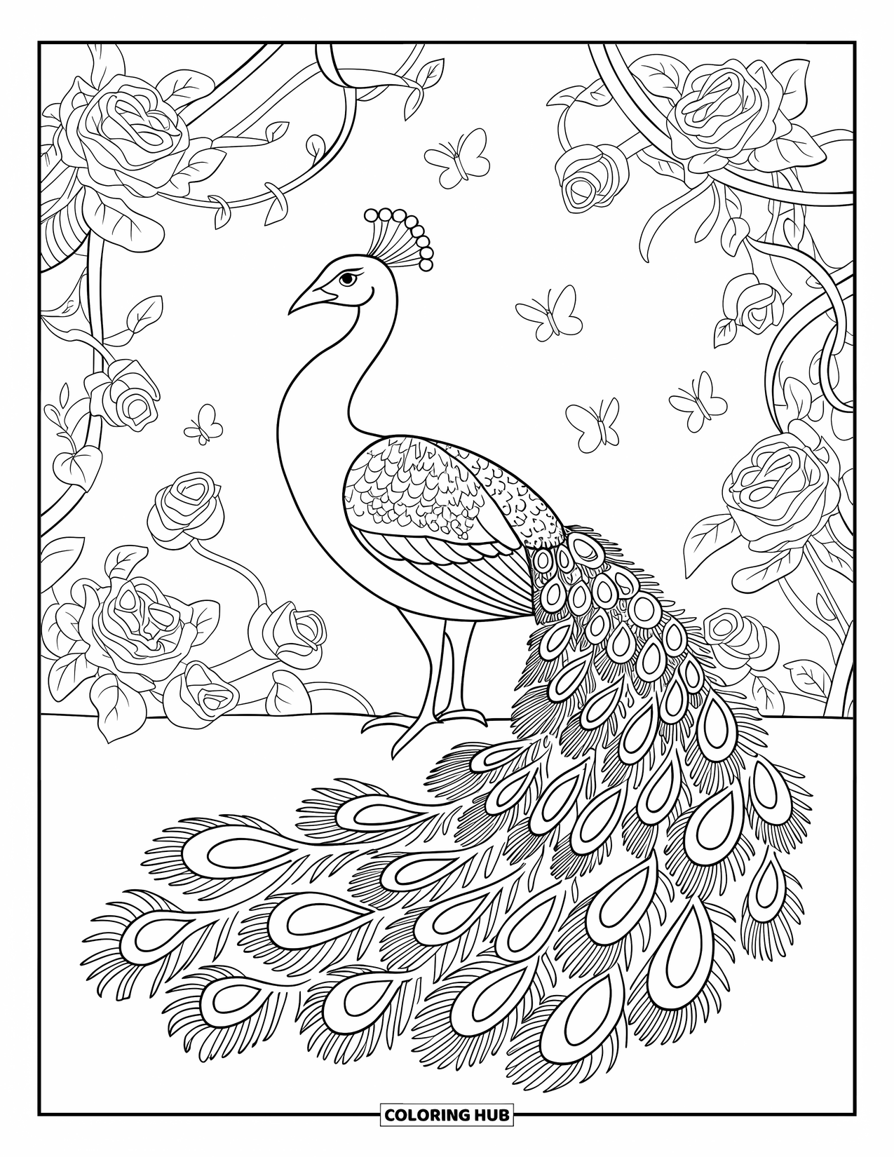Peacock Coloring Page for Adults: A peacock stands in a garden with roses, vines, and spirals on its feathers