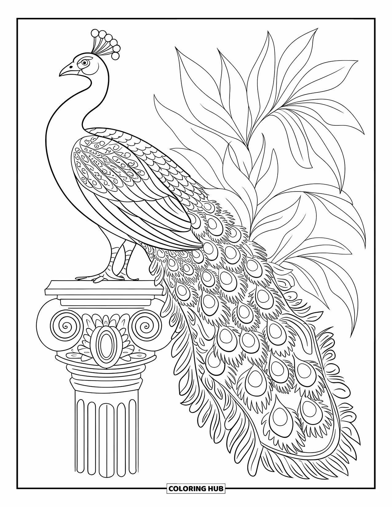 Peacock Coloring Page for Adults: A peacock stands on a pillar with its tail cascading like water