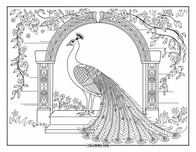 155+ Coloriages de paons pour enfants et adultes (Gratuits)