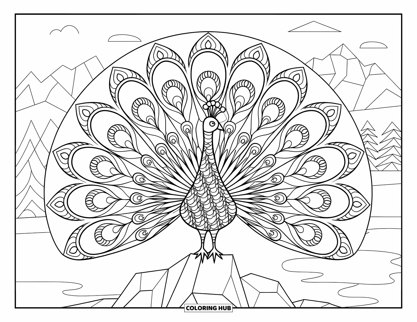 Peacock Coloring Page for Adults: A peacock with zentangle feathers stands on a rock by a serene landscape