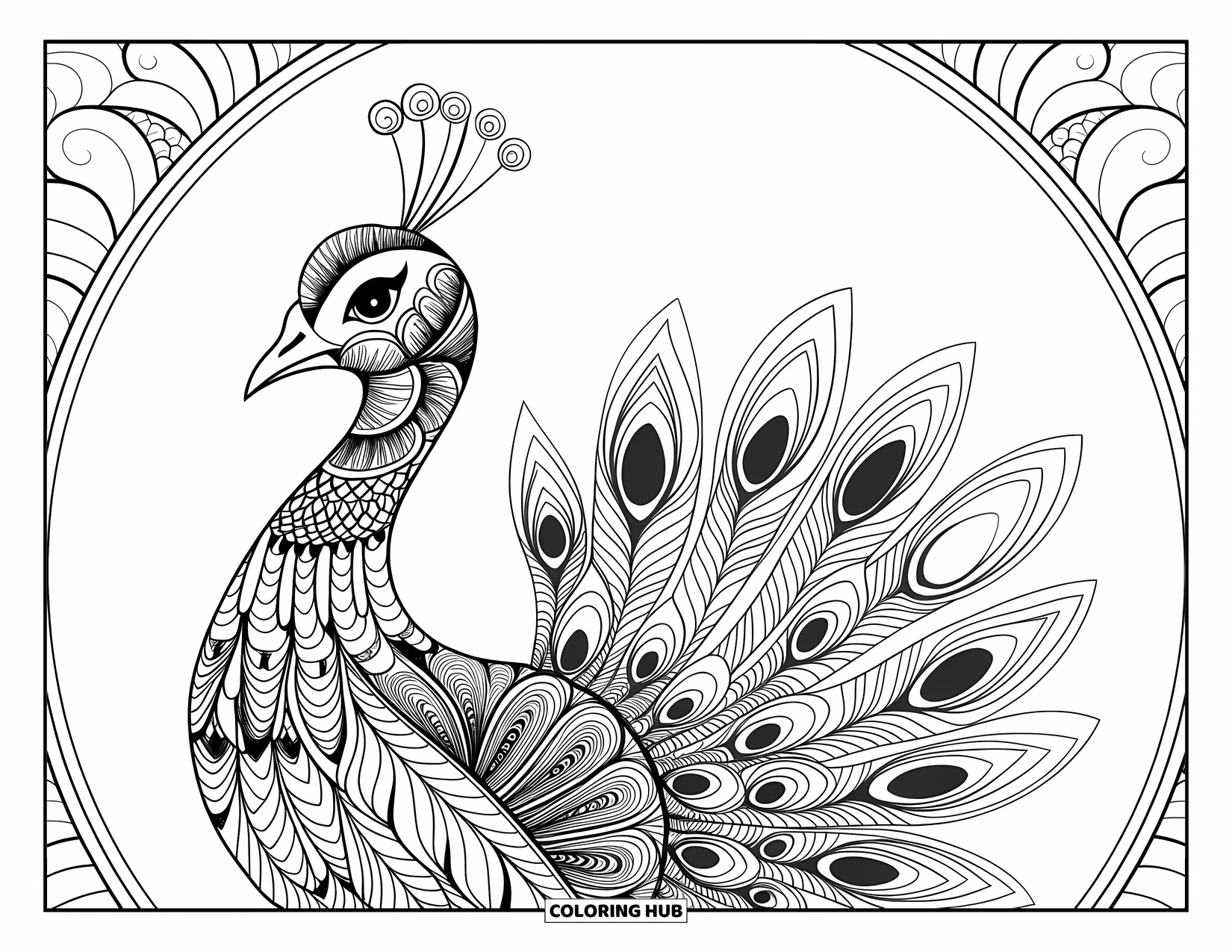 Peacock Coloring Page for Adults: A peacock with zentangle patterns on its feathers stands in a decorative scene