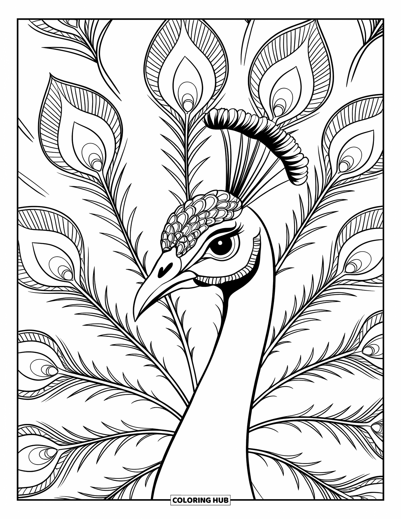 Peacock Coloring Page for Adults: A peacock's eye is surrounded by feathers with mandala-inspired patterns
