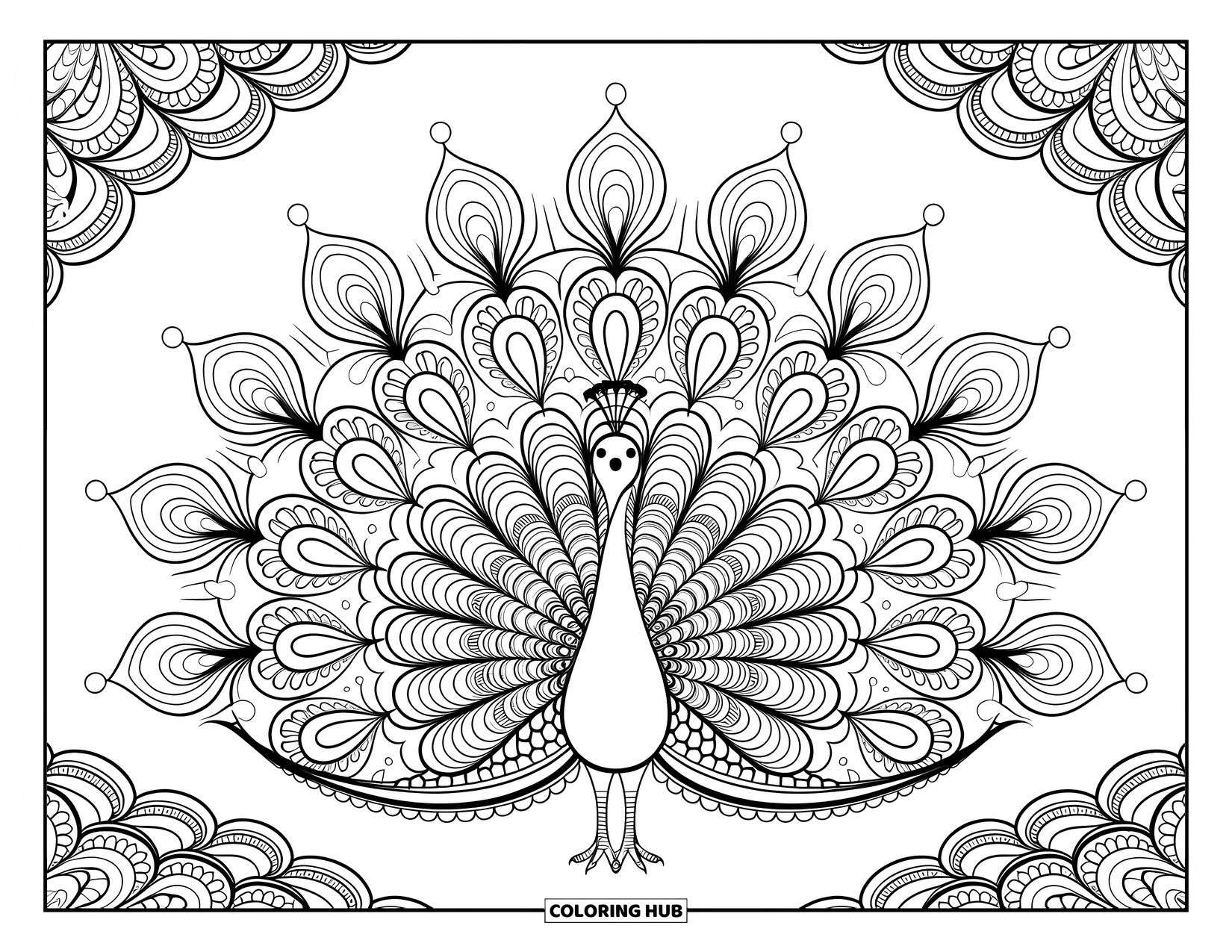 Peacock Coloring Page for Adults: A peacock's feathers turn into swirls and dots in a zentangle pattern