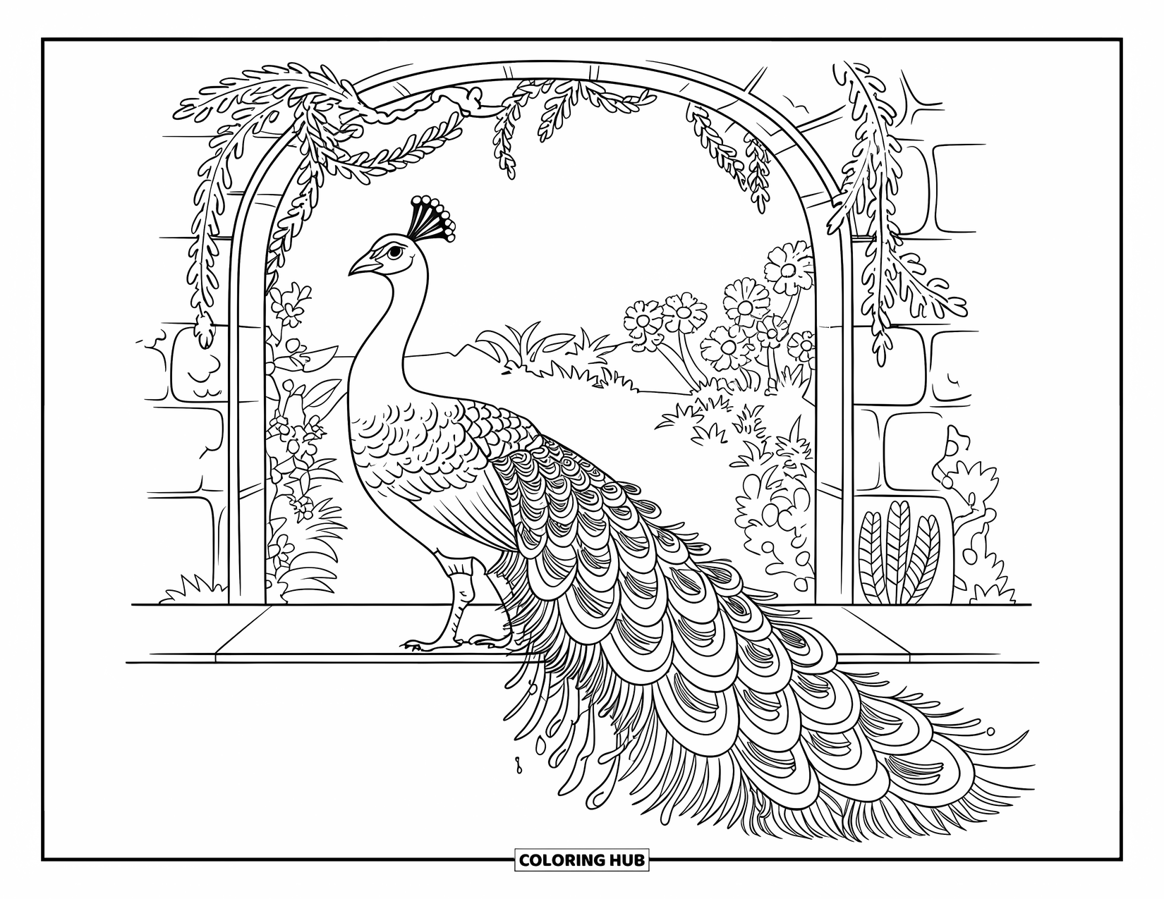 Peacock Coloring Page for Adults: A peacock's lace-like tail drapes under a flower-covered stone gateway