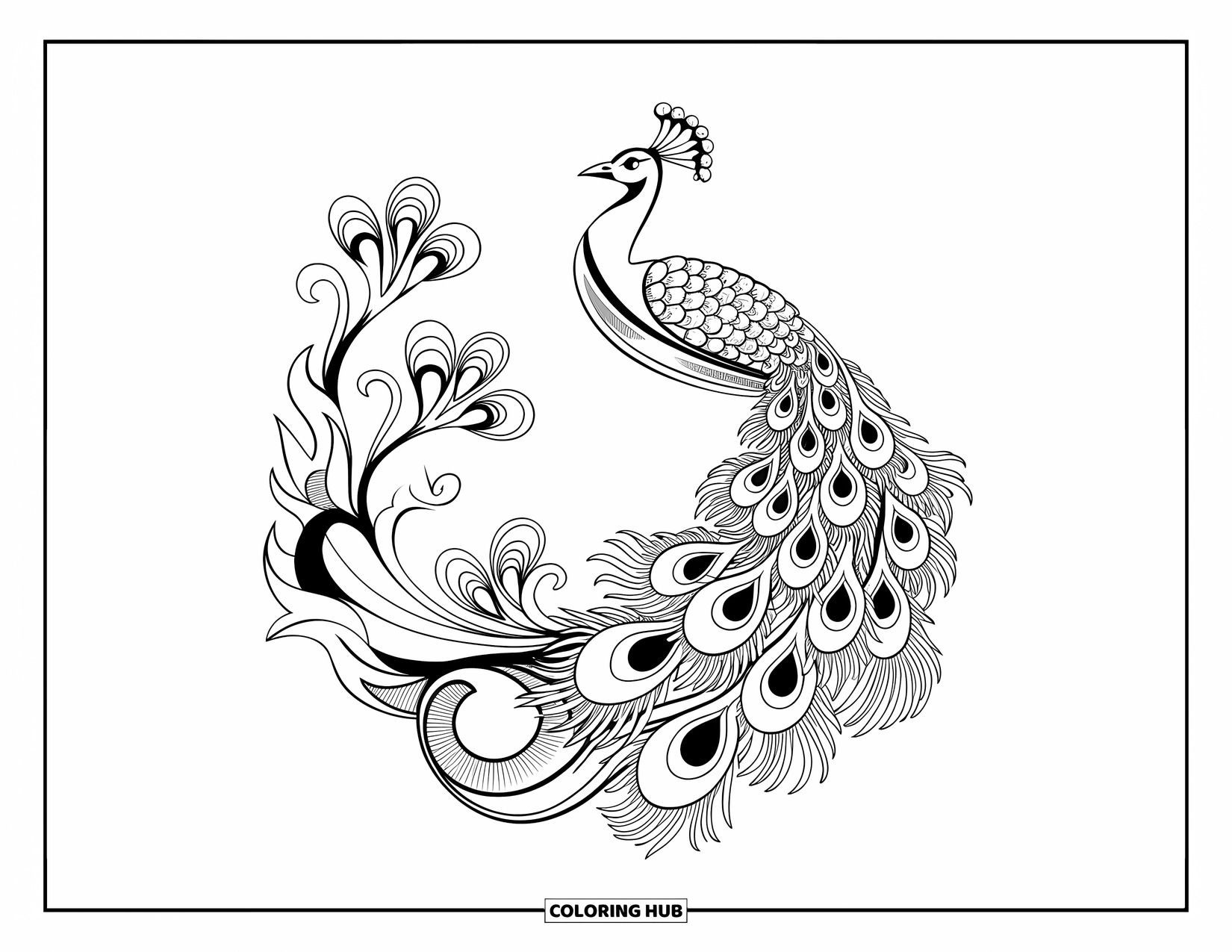 Peacock Coloring Page for Adults: A peacock's tail blends with curves, vines, and flowers in an Art Nouveau style