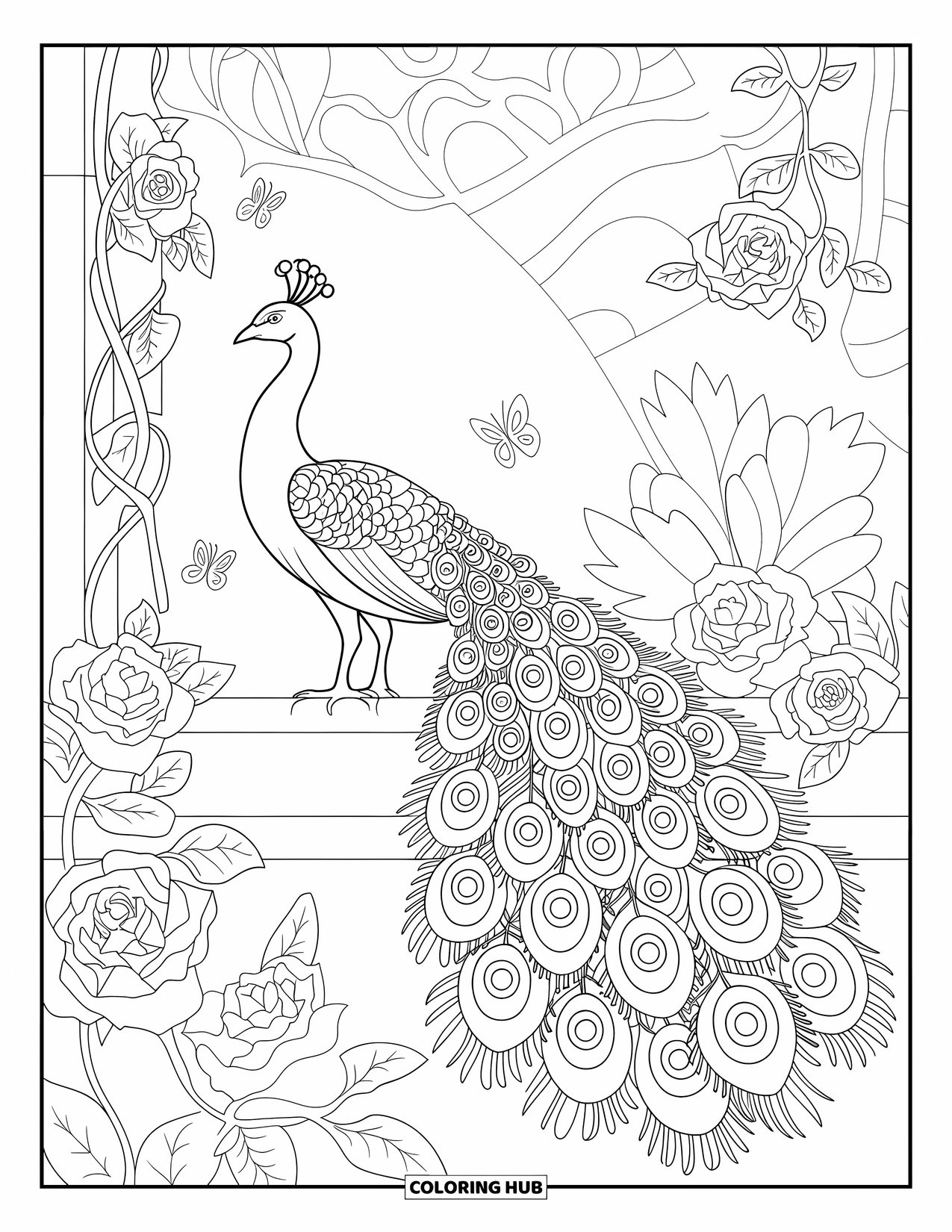 Peacock Coloring Page for Adults: A peacock's tail has paisley patterns in a garden with butterflies