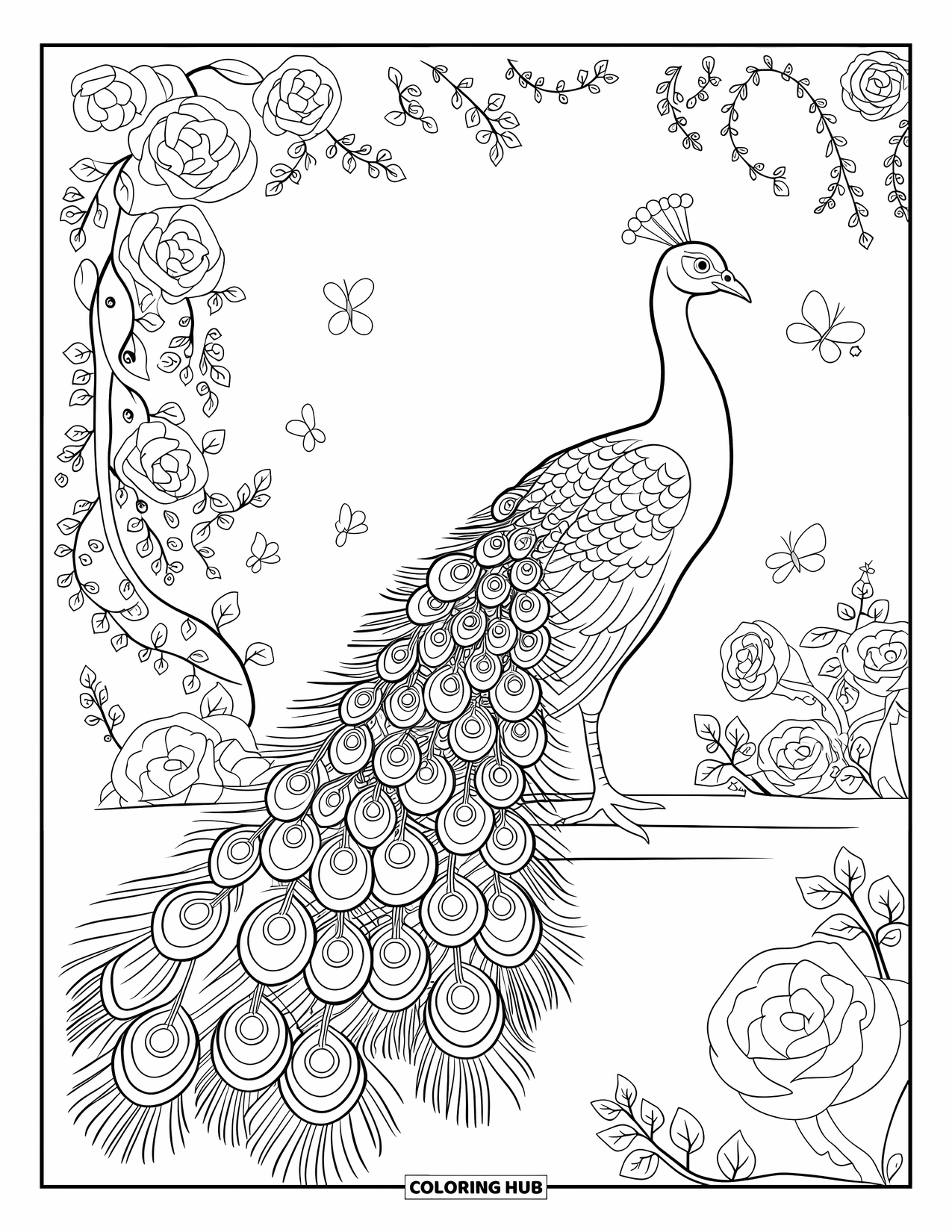 Peacock Coloring Page for Adults: A peacock's tail has spirals and patterns in a garden with roses and vines
