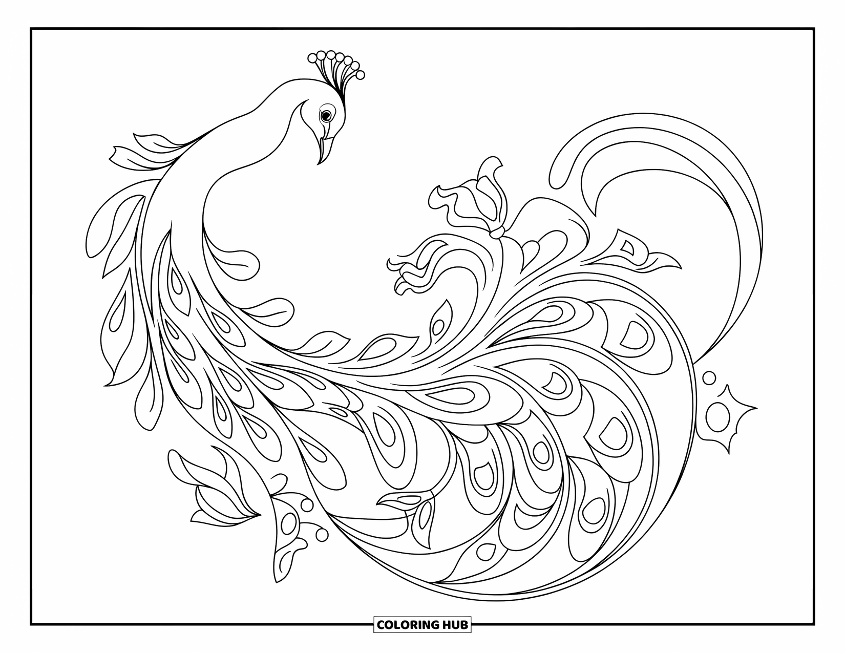 Peacock Coloring Page for Adults: A peacock's tail merges with curves and flowers in an Art Nouveau design