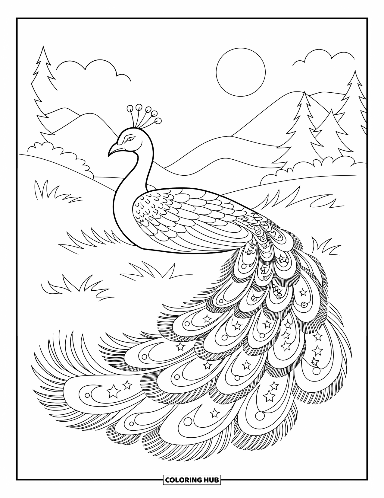Peacock Coloring Page for Adults: A peacock's tail spreads in a meadow with stars and swirls