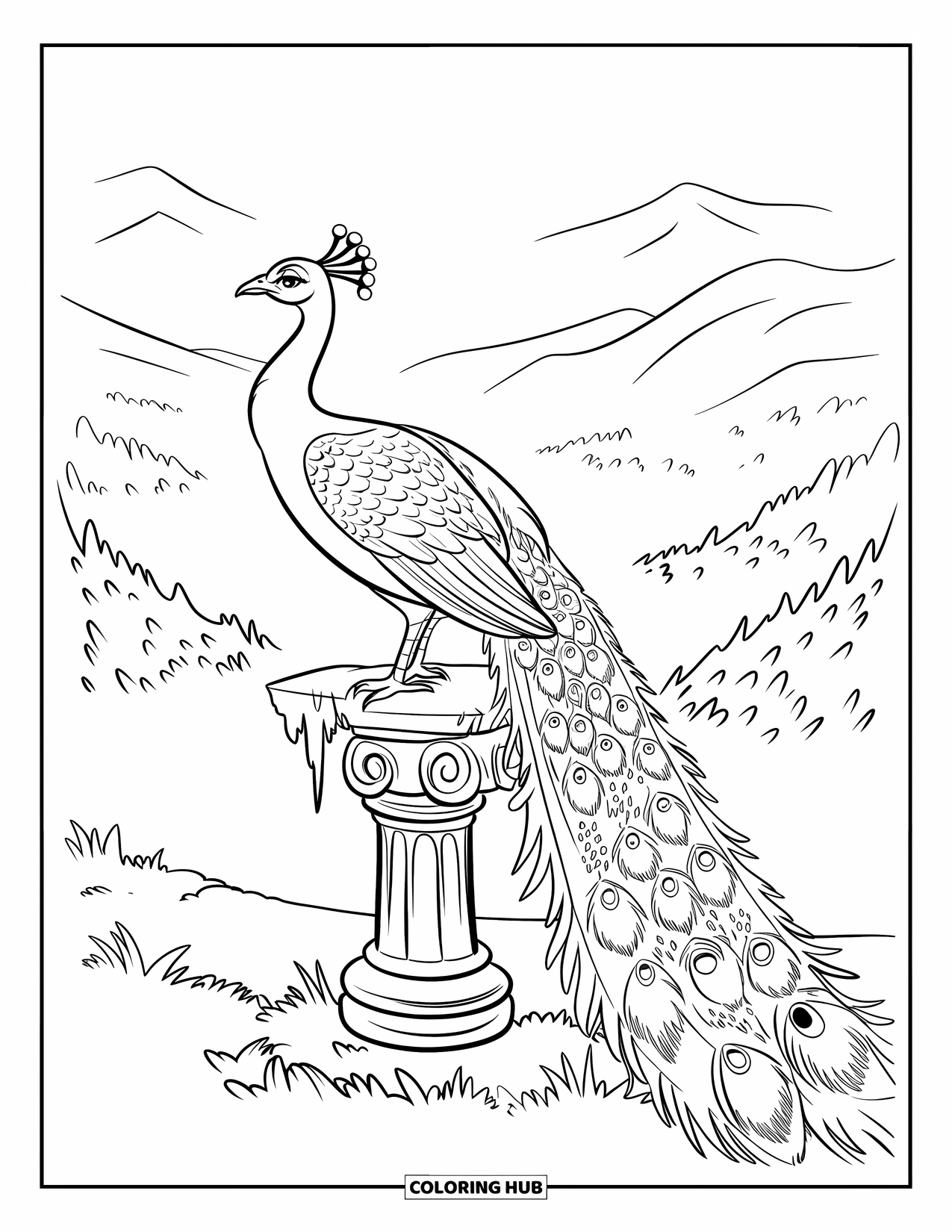 Peacock Coloring Page for Kids: A majestic peacock perches on a stone pedestal, overlooking a misty valley