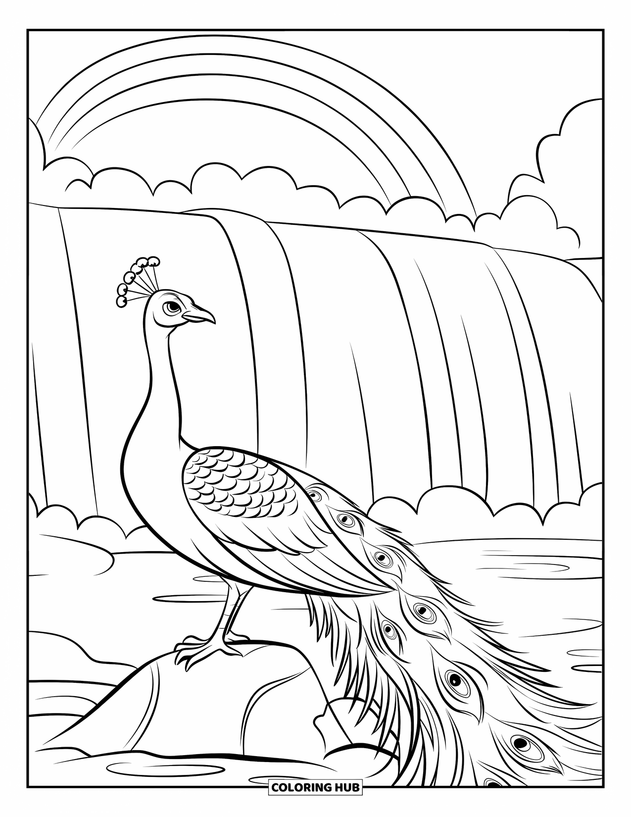 Peacock Coloring Page for Kids: A peacock balances near a waterfall, its feathers lightly ruffled by the mist