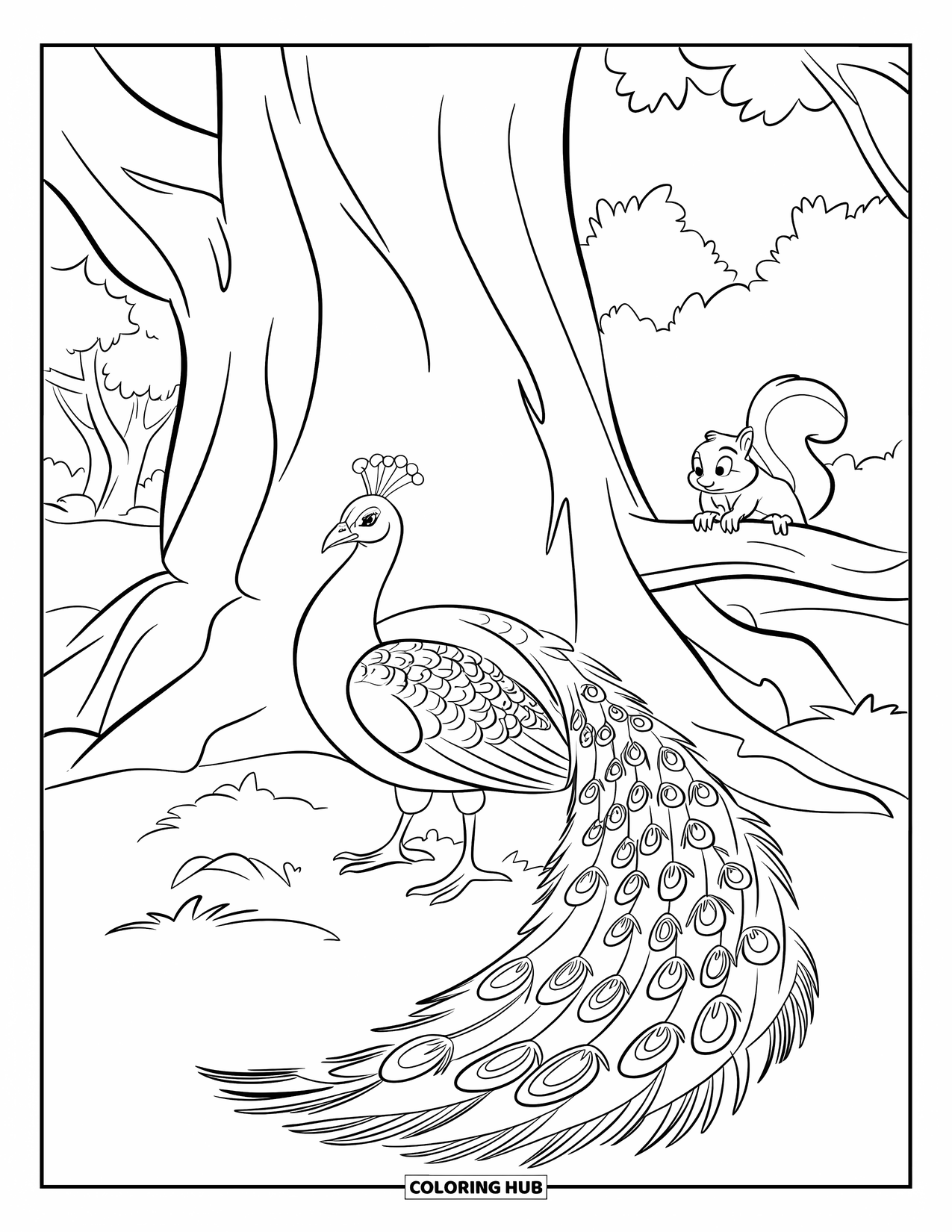 Peacock Coloring Page for Kids: A peacock rests under a tree with its tail fanned out, watched by a squirrel