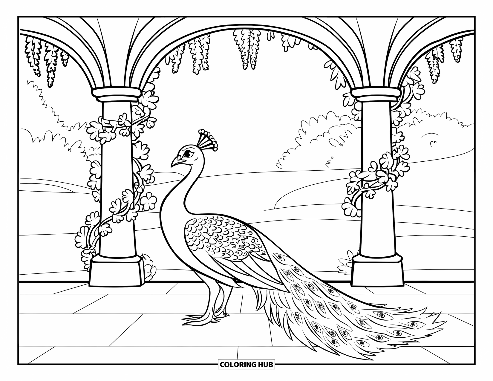 Peacock Coloring Page for Kids: A peacock stands beneath an archway covered in vines and flowers