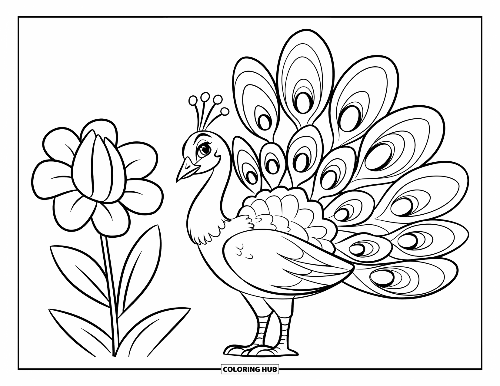 Peacock Coloring Page for Kids: A peacock stands beside a big flower, displaying a few large feathers