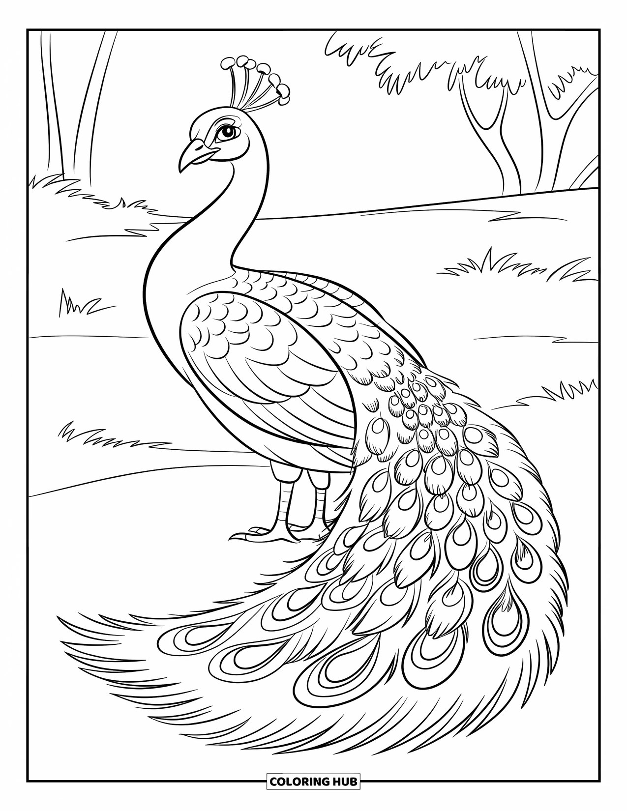 Peacock Coloring Page for Kids: A peacock stands on a field with only a few feather tips showing