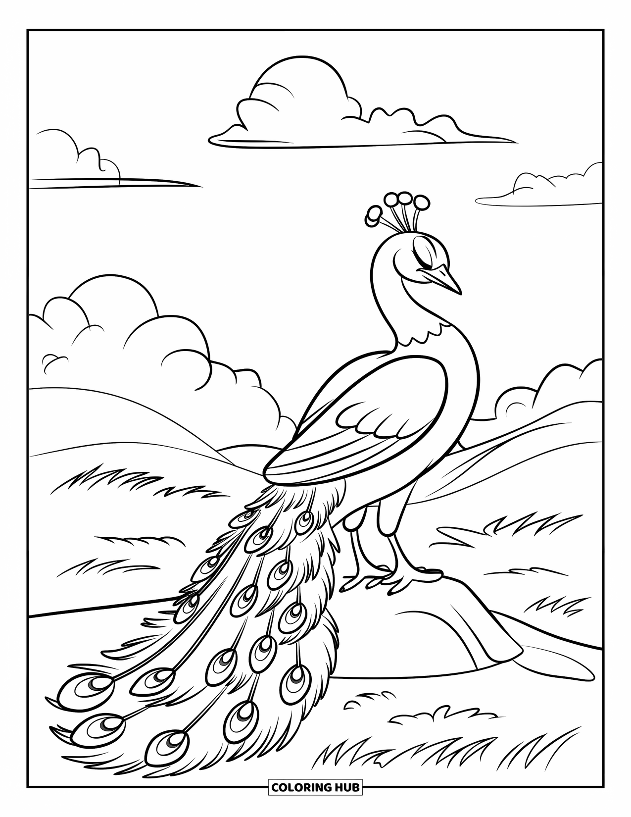 Peacock Coloring Page for Kids: A peacock stands on a rock with its tail down and eyes closed