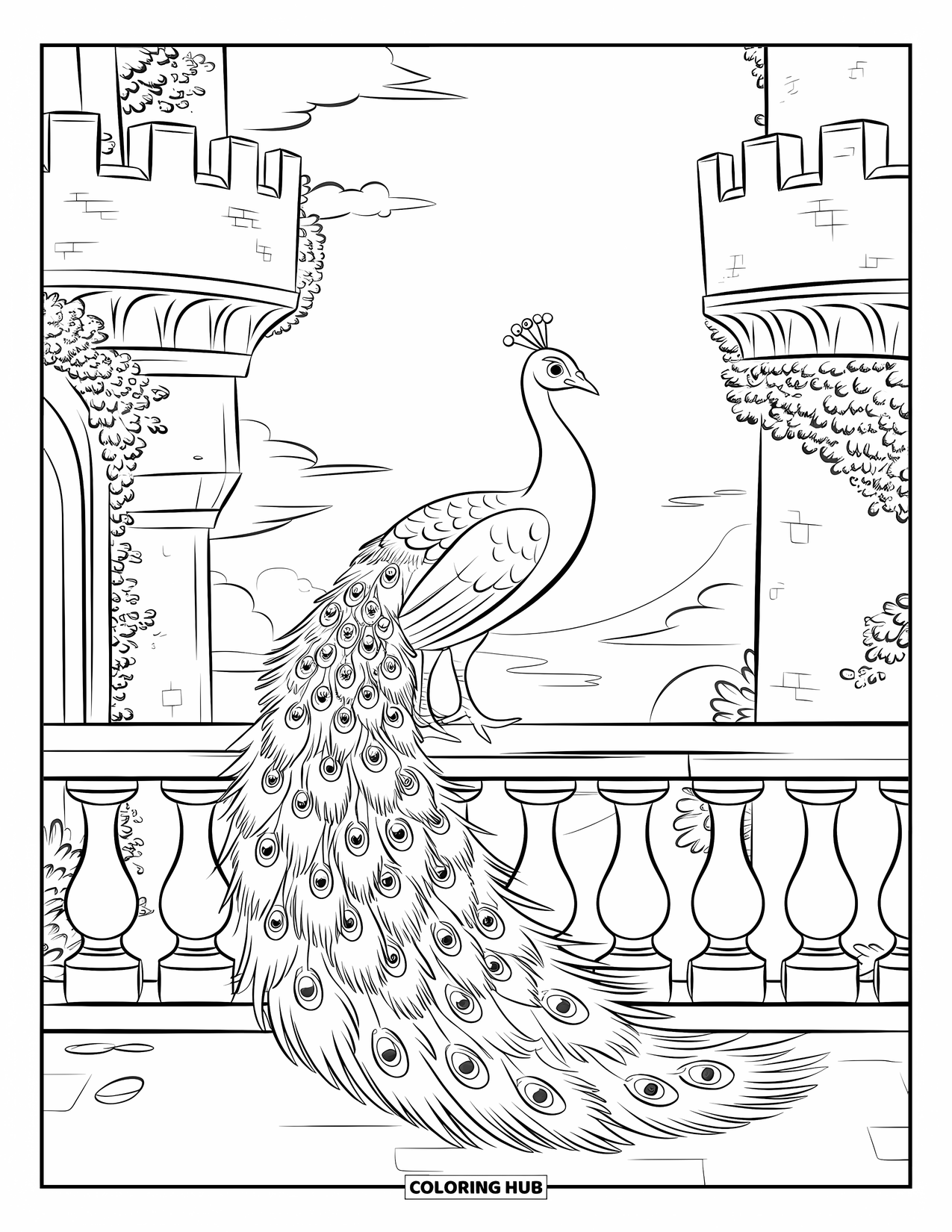 Peacock Coloring Page for Kids: A peacock stands proudly on a castle balcony with its tail draped over the railing