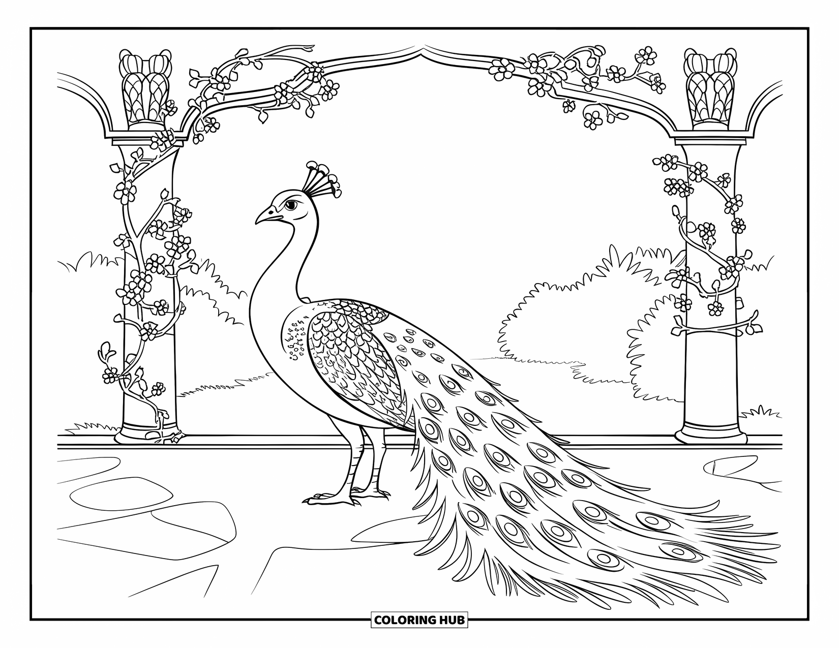 Peacock Coloring Page for Kids: A peacock stands under a grand archway with flowers and vines