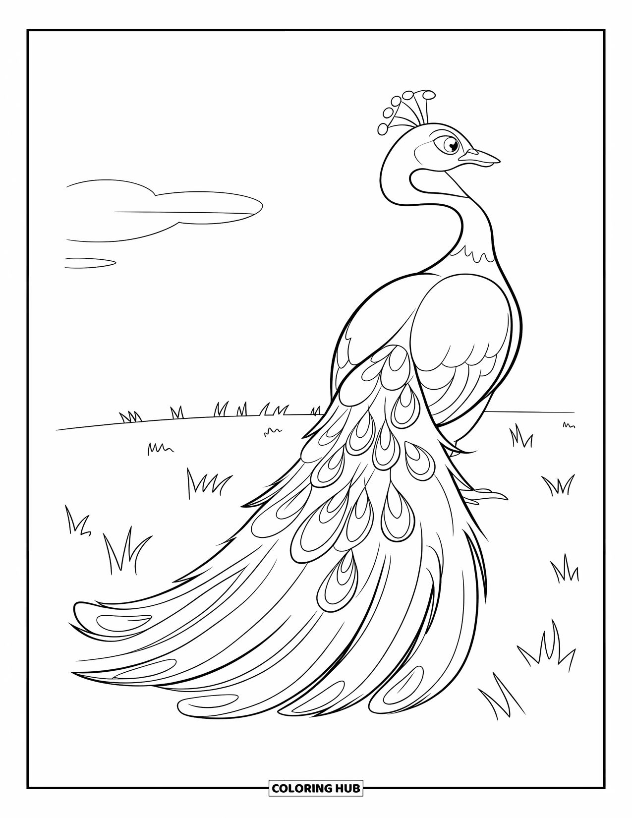 Peacock Coloring Page for Kids: A peacock stands with its tail down, showing a few feather tips