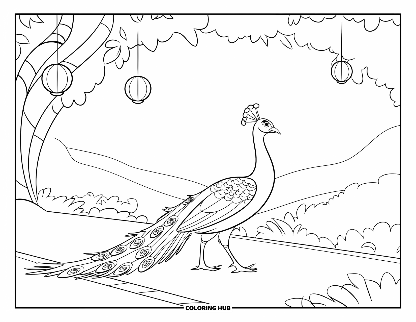 Peacock Coloring Page for Kids: A peacock strolls down a garden path, lanterns glowing overhead