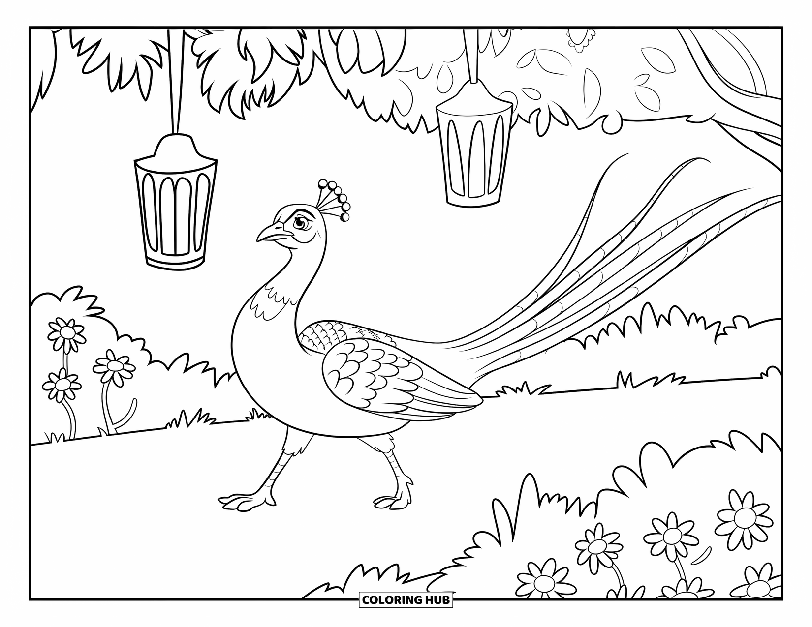 Peacock Coloring Page for Kids: A peacock strolls under lanterns on a garden path