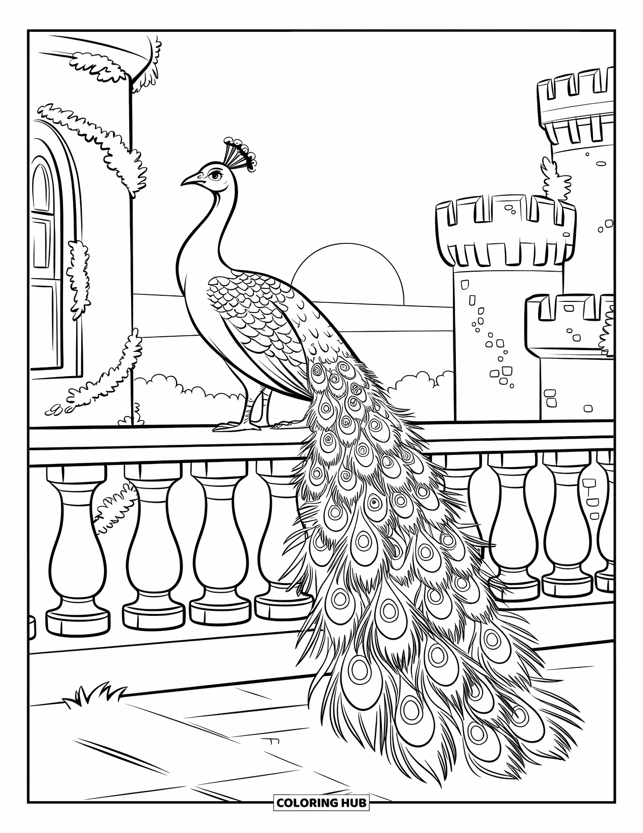 Peacock Coloring Page for Kids: A peacock with an intricate tail stands gracefully on an ivy-covered balcony