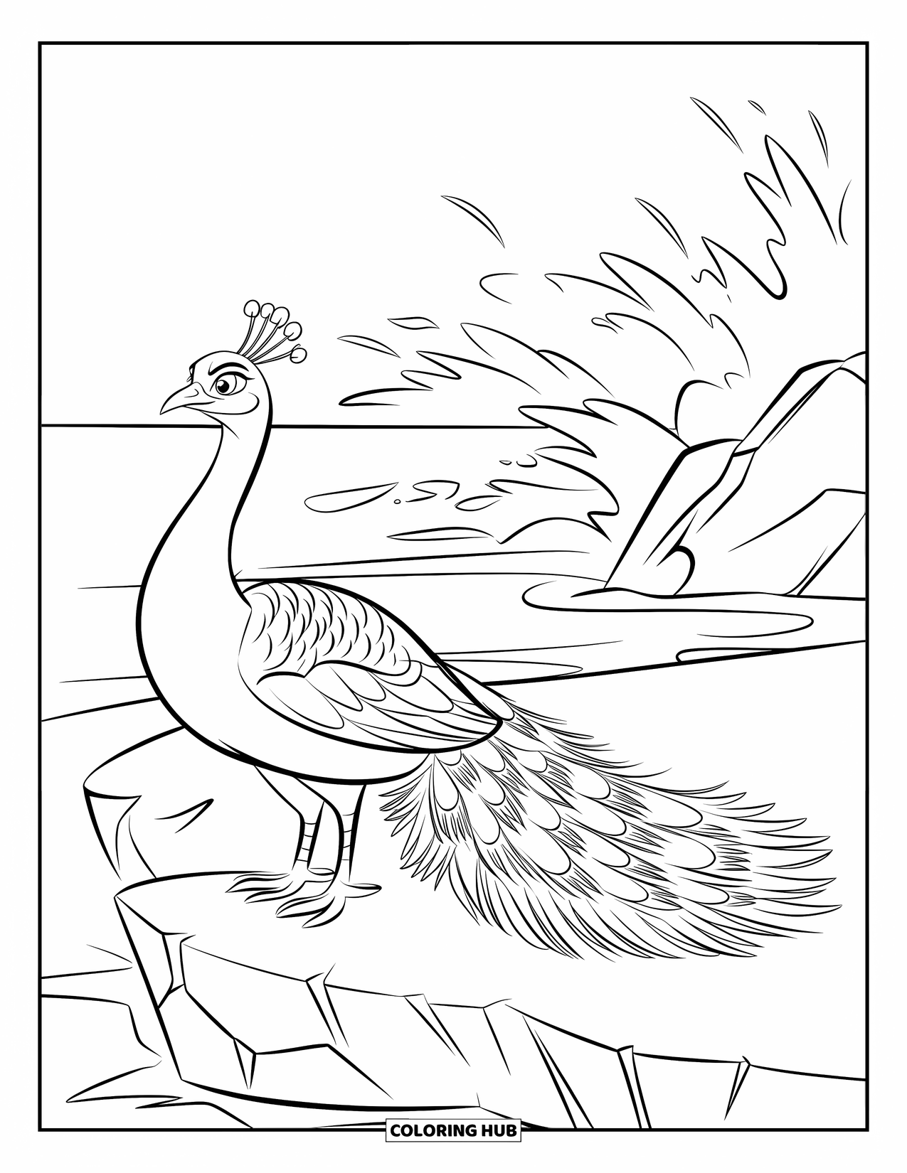 Peacock Coloring Page for Kids: A peacock with spread feathers stands by crashing waves on a rocky shore