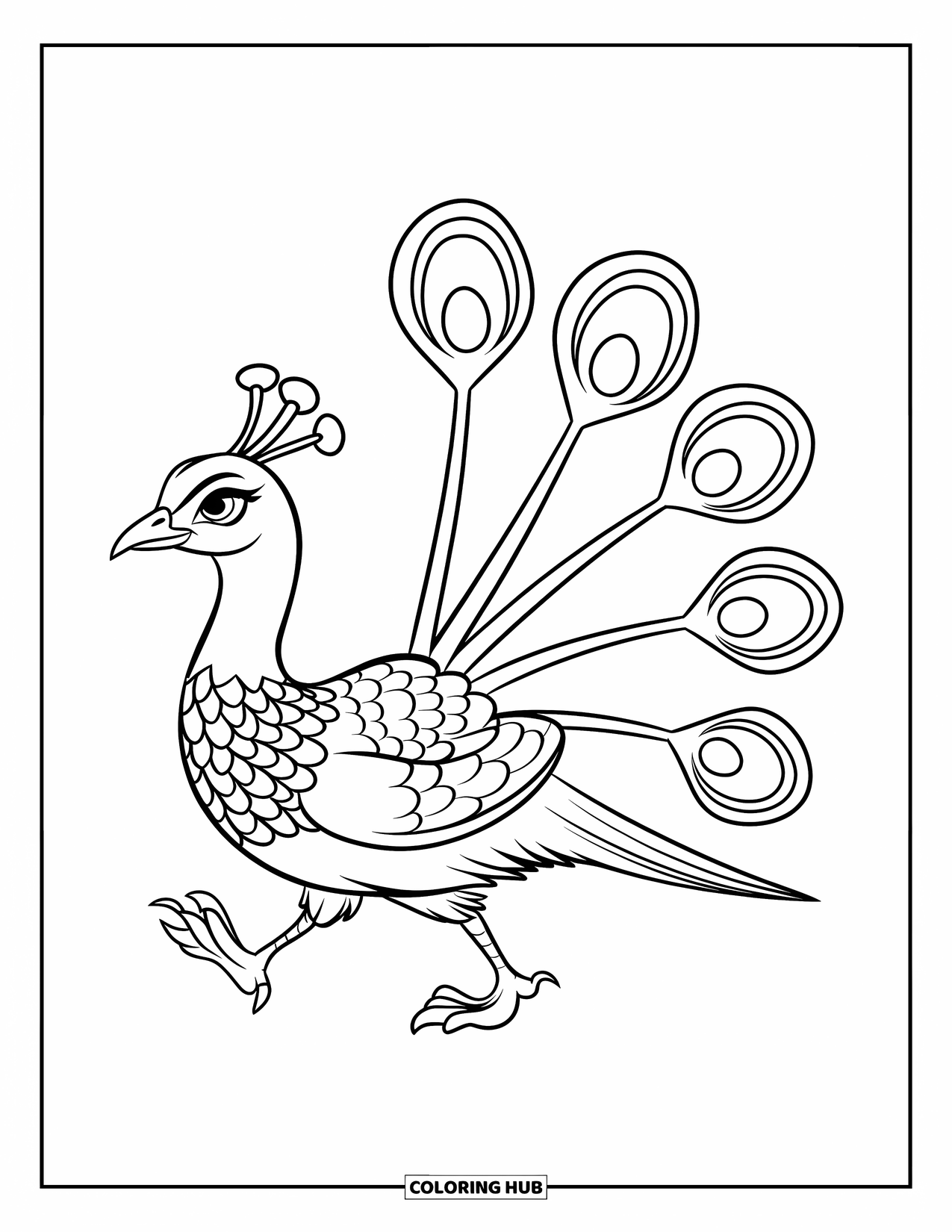 Peacock Coloring Page for Kids: A peacock with tiny feet walks proudly, displaying five bold feathers