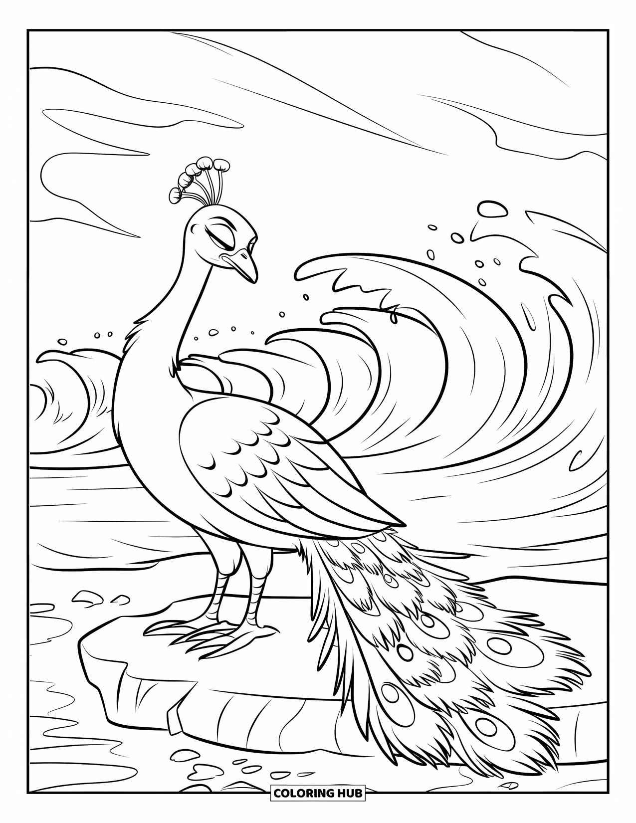 Peacock Coloring Page for Kids: A peacock with wet, curling feathers stands gracefully on a rocky shore
