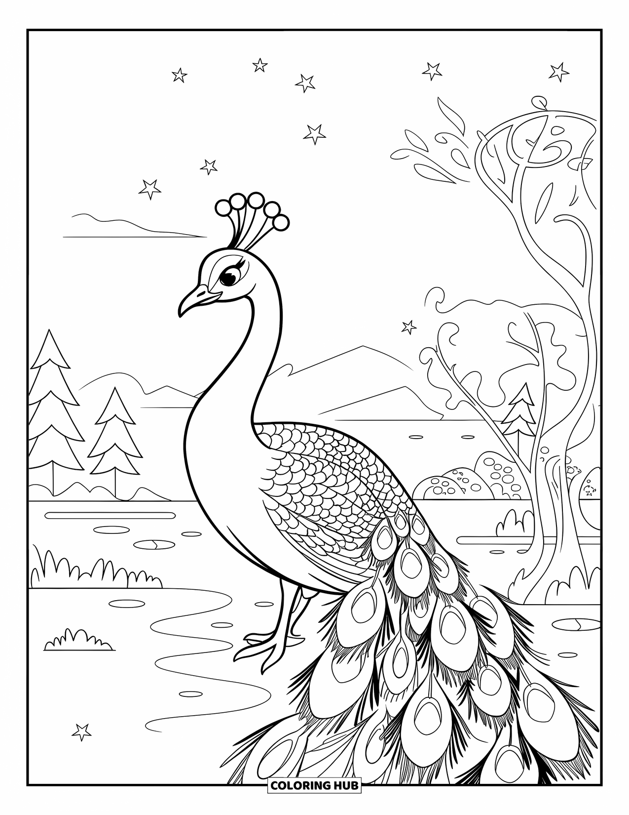 Peacock Coloring Page for Kids: A peacock's feathers blend with stars as fireflies dance in a serene nighttime landscape