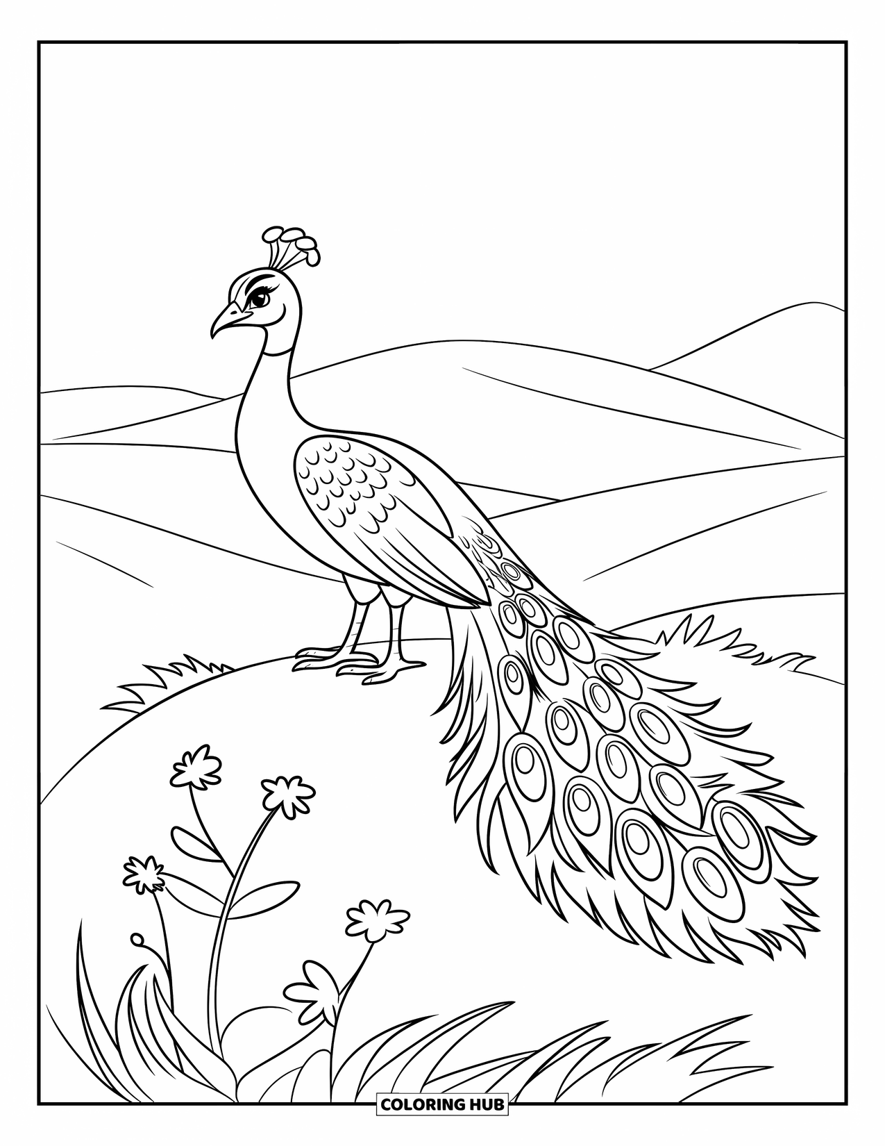 Peacock Coloring Page for Kids: A proud peacock stands on a grassy hill with its tail fanned out