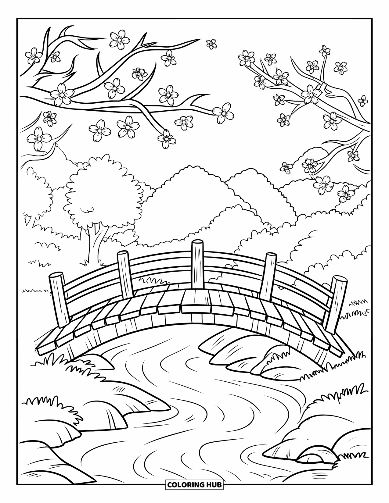Desenho de primavera para colorir para crianças: Uma ponte de madeira se arqueia sobre um riacho que flui, emoldurada por cerejeiras em flor