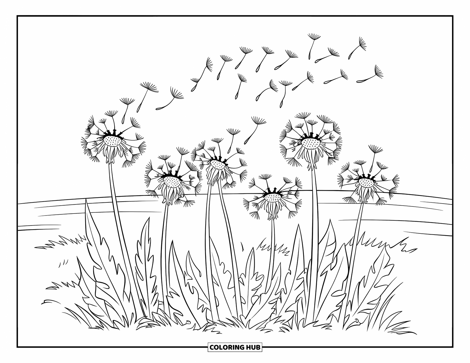 Desenho de primavera para colorir para crianças: Sementes de dente-de-leão flutuam na brisa através de um campo aberto e iluminado pelo sol