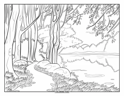 Coloriage de coucher de soleil pour adultes : Une forêt tranquille brille au coucher du soleil avec des feuilles recouvrant le sol