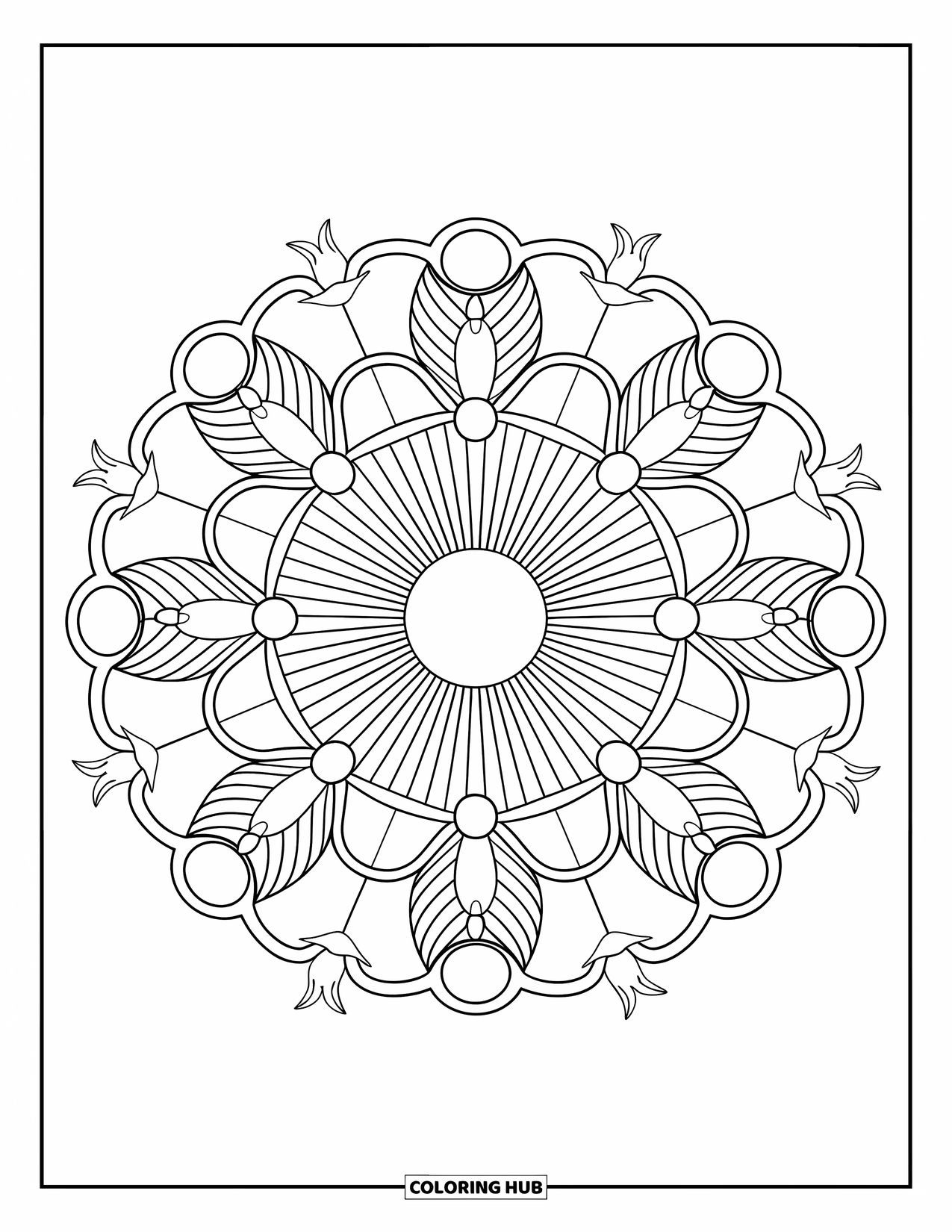 Desenho de pôr do sol para colorir para adultos: Um mandala de pôr do sol mistura raios de sol com pássaros em voo