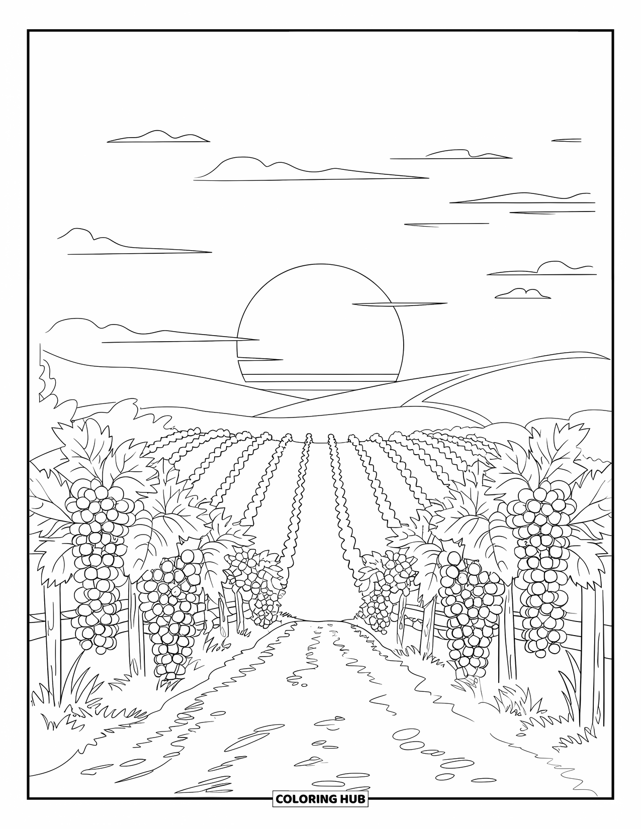 Desenho de pôr do sol para colorir para adultos: Fileiras de vinhas se estendem em direção a colinas e um horizonte brilhante