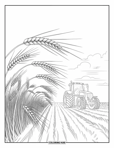Coloriage de tracteur pour enfants : Un tracteur se trouve au milieu d’un champ de blé sous un ciel blanc avec des nuages