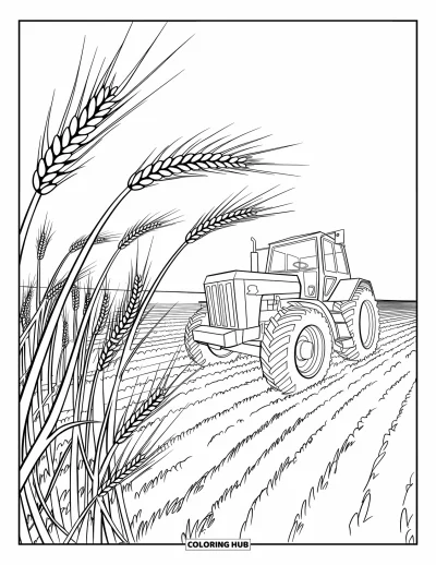 Coloriage de tracteur pour enfants : Un tracteur se trouve près du bord d’un champ de blé avec des tiges courbées