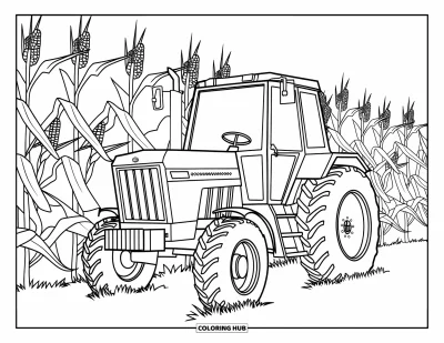Coloriage Tracteur pour enfants : Un tracteur avec de grandes roues avant et de petites roues arrière est entouré de hautes tiges de maïs