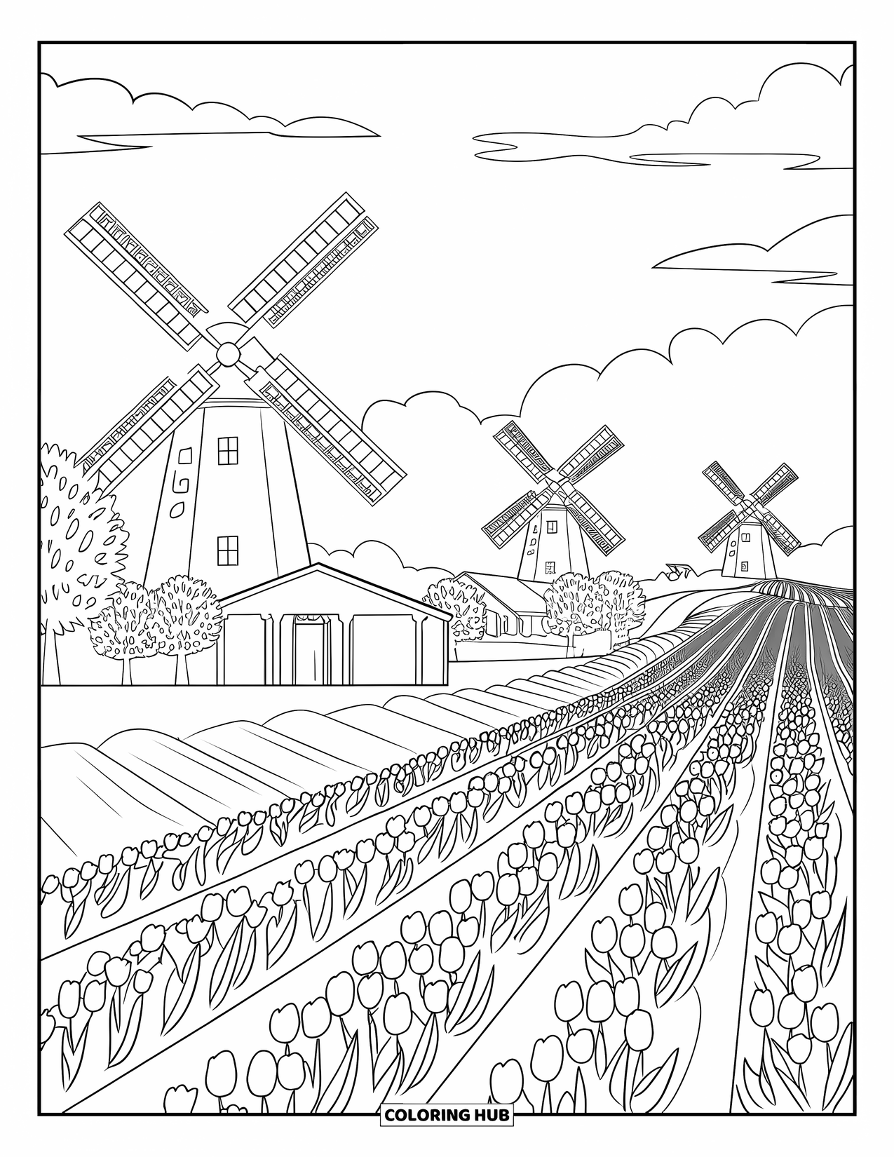 Tulip Coloring Page for Adults: Tulip fields stretch under windmills in a peaceful Dutch landscape