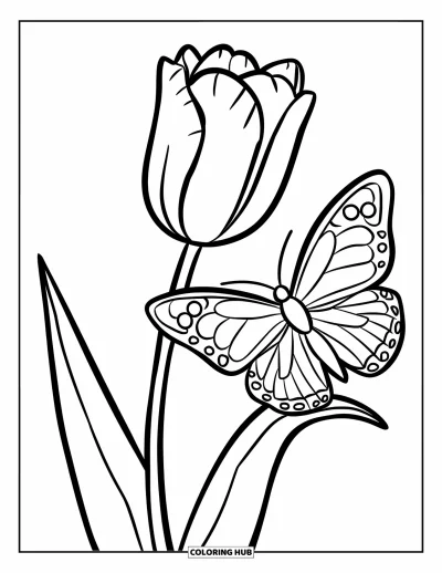 Tegning med tulipaner til børn: En sommerfugl sidder på et tulipanblad med vingerne bredt ud