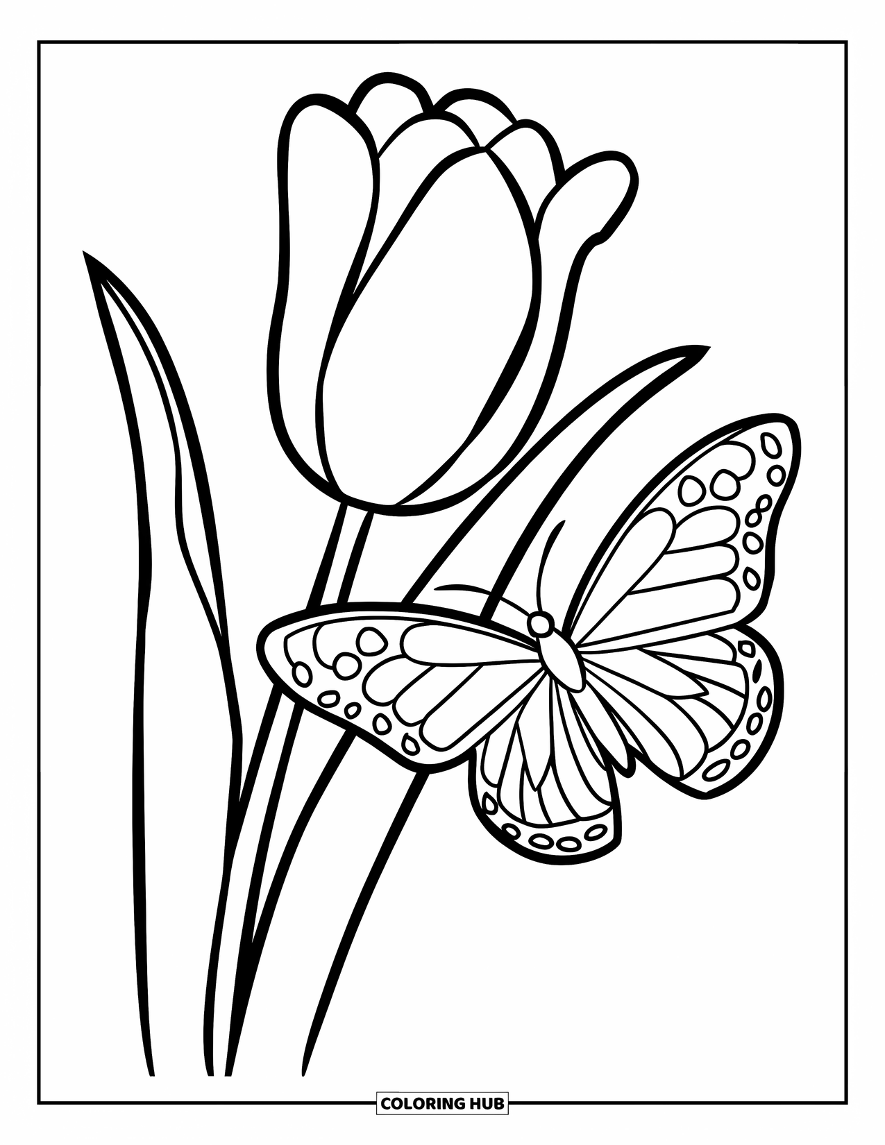 Tulip Coloring Page for Kids: A butterfly rests on a tulip's petal in a simple garden scene