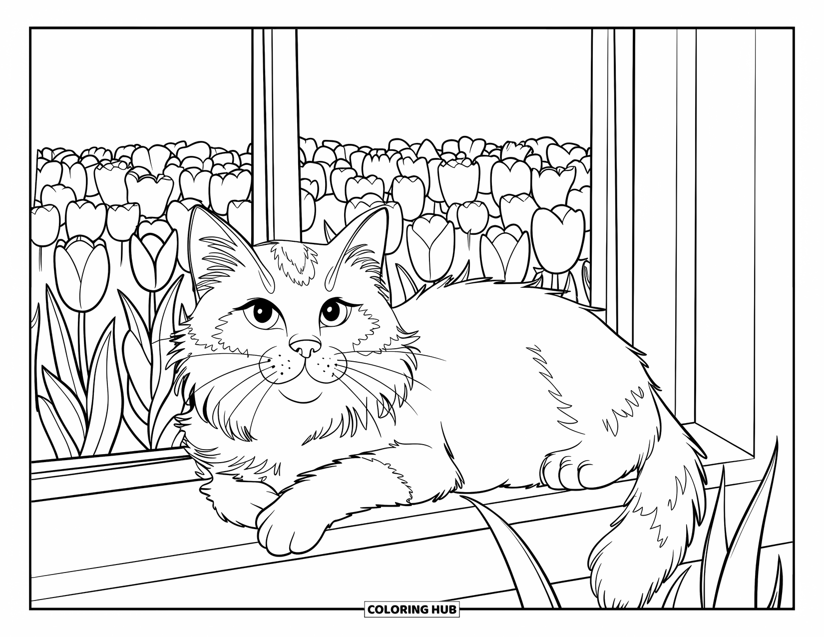 Tulip Coloring Page for Kids: A fluffy cat with bright eyes lounges near tulips on a wooden windowsill