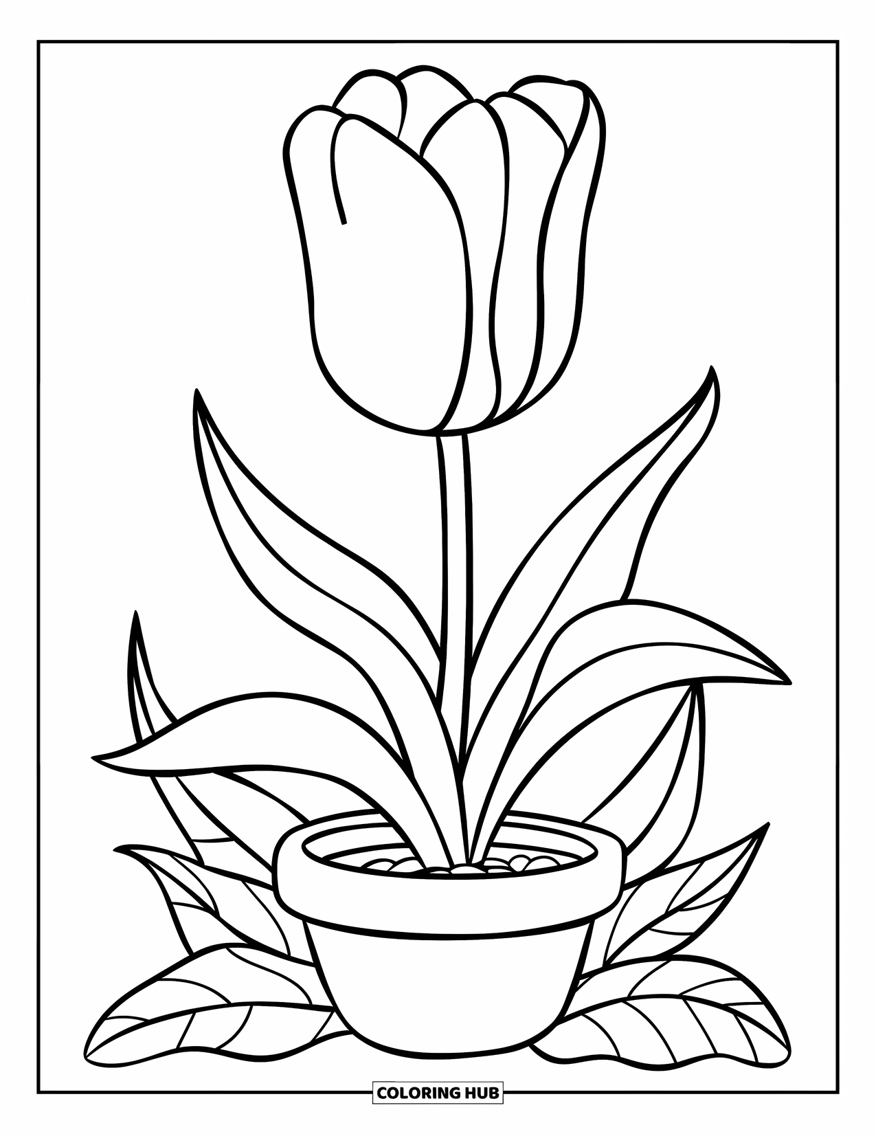 Tulip Coloring Page for Kids: A single tulip grows in a pot, its leaves gently curved