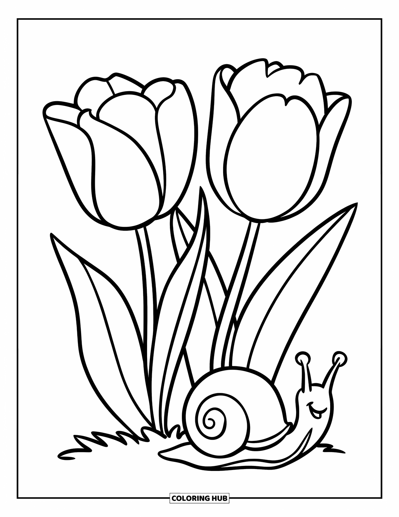 Tulip Coloring Page for Kids: A snail crawls slowly by two tulips with curved stems