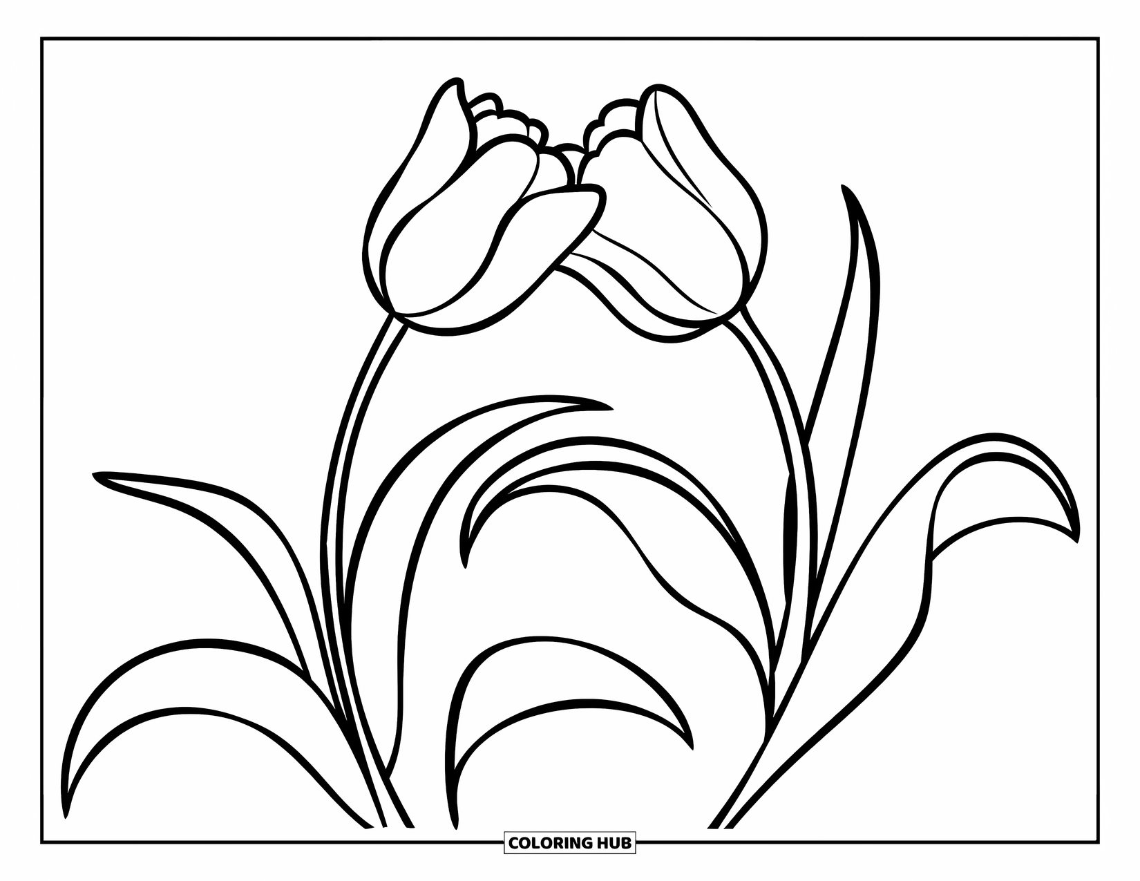 Tulip Coloring Page for Kids: Two tulips bend gently toward each other, their petals nearly touching